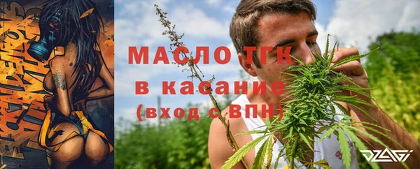 хмурый Арсеньев